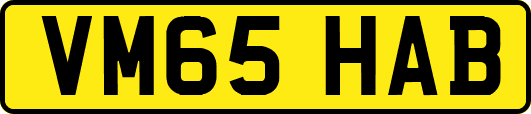 VM65HAB