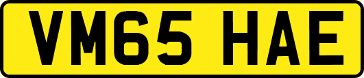 VM65HAE