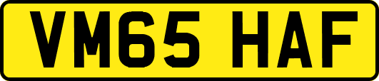 VM65HAF