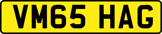VM65HAG