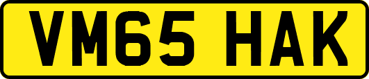 VM65HAK