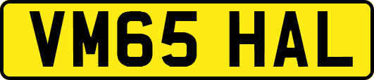 VM65HAL