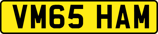 VM65HAM