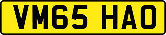 VM65HAO
