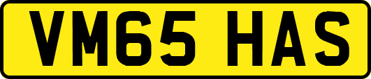 VM65HAS