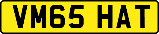 VM65HAT