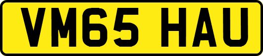 VM65HAU