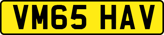VM65HAV