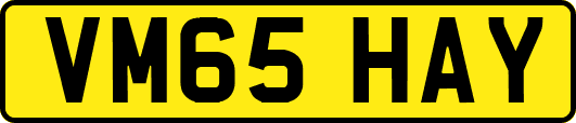 VM65HAY