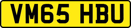 VM65HBU
