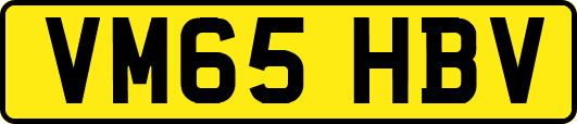 VM65HBV