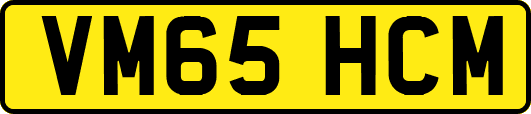 VM65HCM