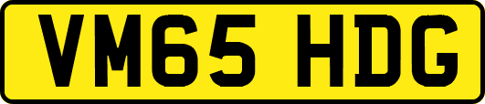 VM65HDG