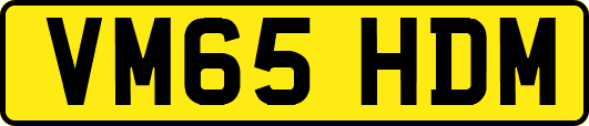 VM65HDM