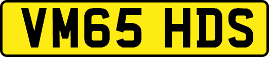 VM65HDS