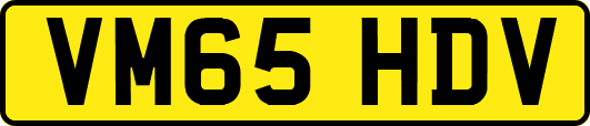 VM65HDV