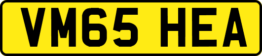 VM65HEA