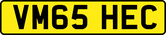 VM65HEC