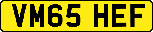 VM65HEF