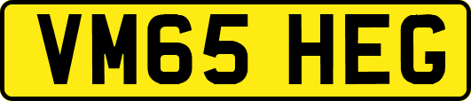 VM65HEG