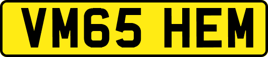 VM65HEM