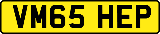 VM65HEP