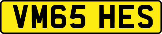 VM65HES