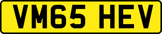 VM65HEV