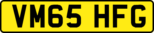 VM65HFG
