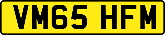 VM65HFM