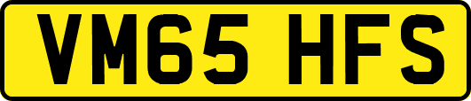 VM65HFS