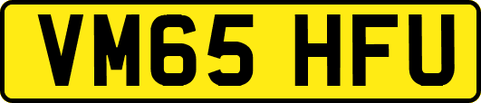 VM65HFU