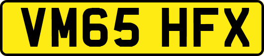 VM65HFX