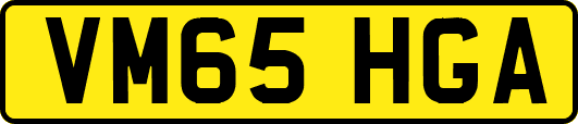 VM65HGA
