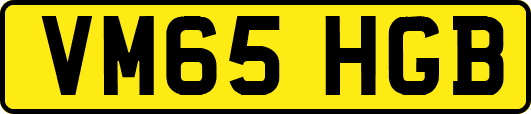 VM65HGB