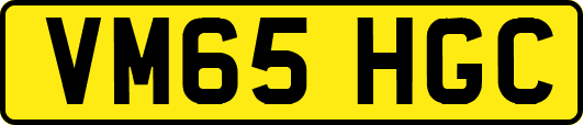 VM65HGC