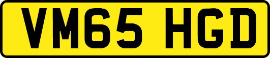 VM65HGD