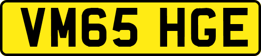 VM65HGE