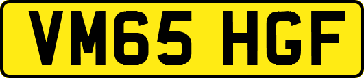 VM65HGF