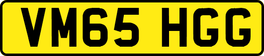 VM65HGG