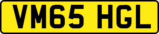 VM65HGL