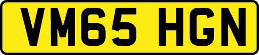 VM65HGN