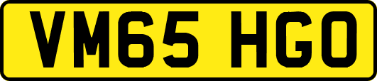 VM65HGO