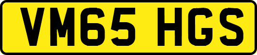 VM65HGS