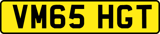 VM65HGT