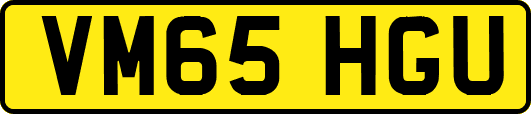 VM65HGU