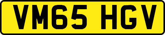 VM65HGV