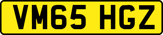 VM65HGZ