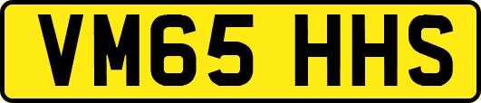 VM65HHS