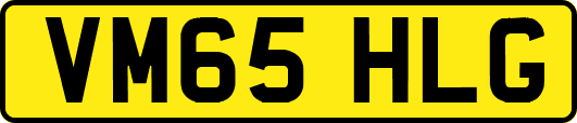 VM65HLG